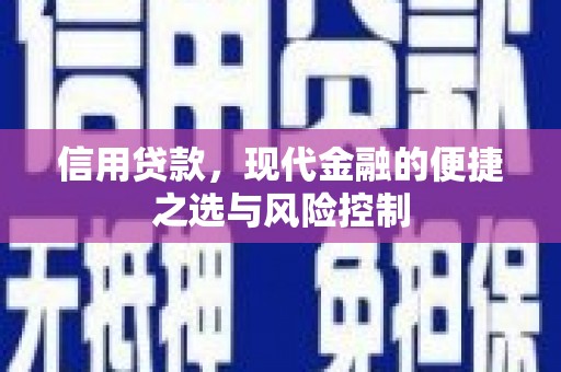华宁信用贷款，现代金融的便捷之选与风险控制