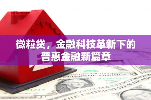 华宁微粒贷，金融科技革新下的普惠金融新篇章