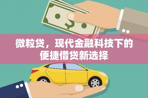 华宁微粒贷，现代金融科技下的便捷借贷新选择