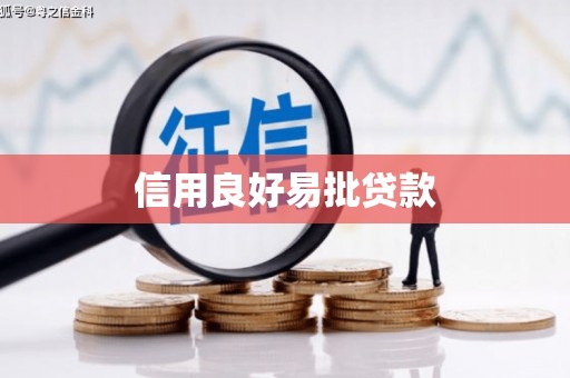 华宁信用良好易批贷款