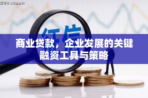华宁商业贷款，企业发展的关键融资工具与策略