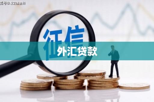 华宁外汇贷款