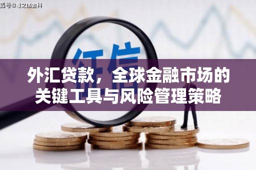 华宁外汇贷款，全球金融市场的关键工具与风险管理策略