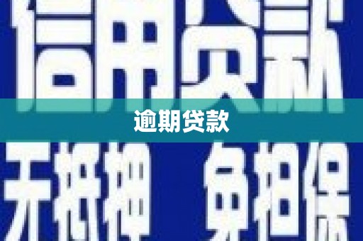华宁逾期贷款