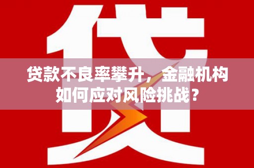 华宁贷款不良率攀升，金融机构如何应对风险挑战？