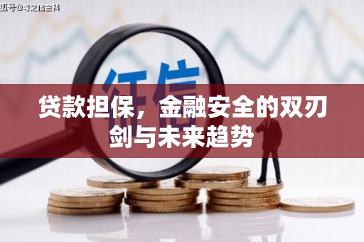 华宁贷款担保，金融安全的双刃剑与未来趋势