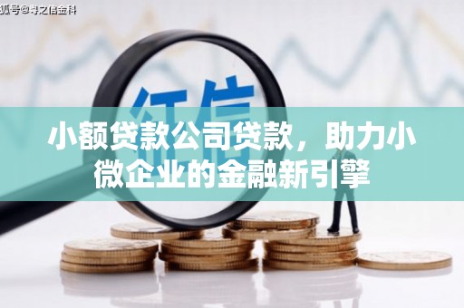 华宁小额贷款公司贷款，助力小微企业的金融新引擎