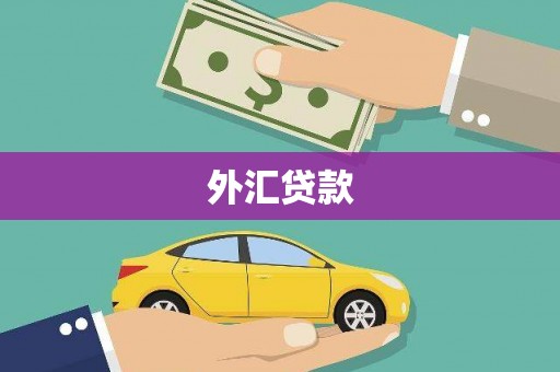 华宁外汇贷款