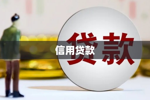 华宁信用贷款