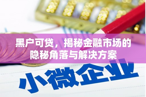 华宁黑户可贷，揭秘金融市场的隐秘角落与解决方案