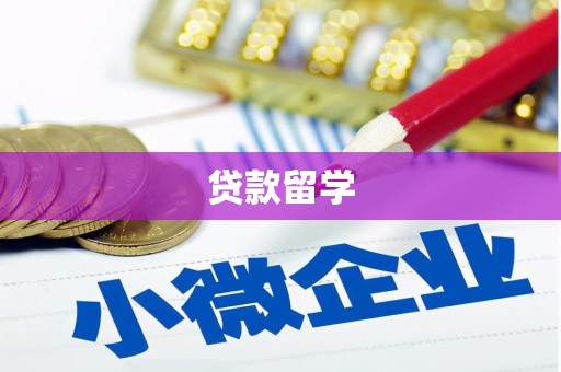 华宁贷款留学