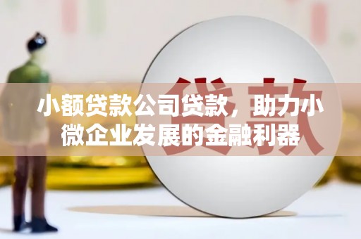 华宁小额贷款公司贷款，助力小微企业发展的金融利器
