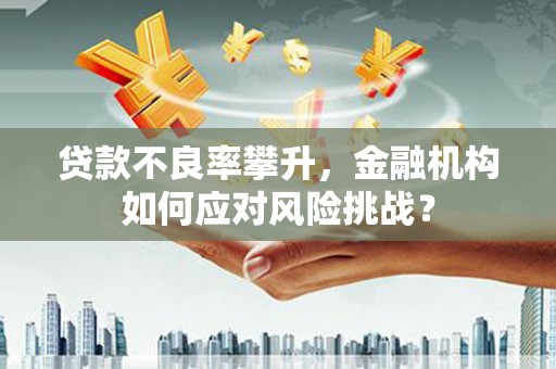 华宁贷款不良率攀升，金融机构如何应对风险挑战？