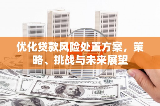 华宁优化贷款风险处置方案，策略、挑战与未来展望