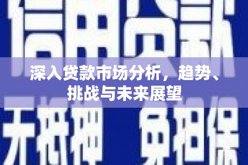 华宁深入贷款市场分析，趋势、挑战与未来展望