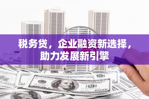 华宁税务贷，企业融资新选择，助力发展新引擎