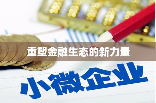 华宁重塑金融生态的新力量