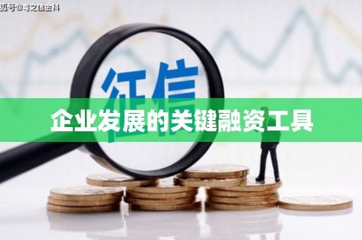 华宁企业发展的关键融资工具