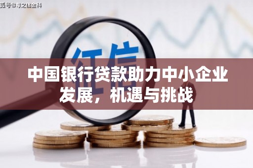 华宁中国银行贷款助力中小企业发展，机遇与挑战