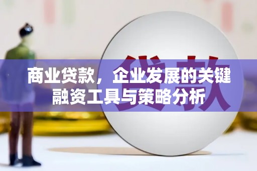 华宁商业贷款，企业发展的关键融资工具与策略分析