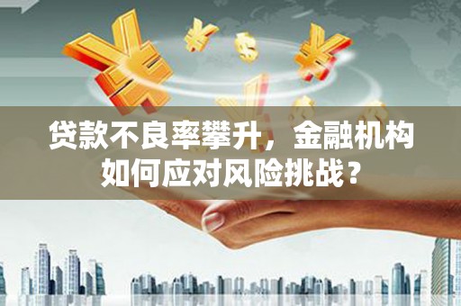 华宁贷款不良率攀升，金融机构如何应对风险挑战？