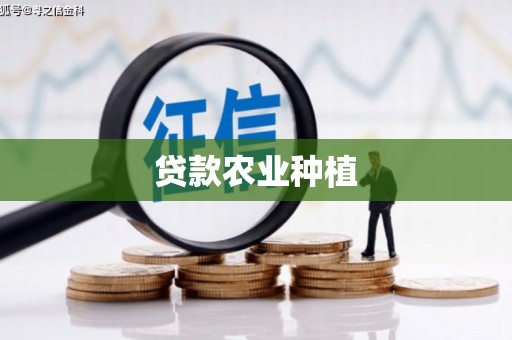 华宁贷款农业种植