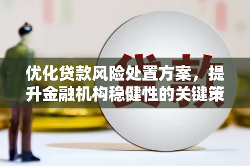 华宁优化贷款风险处置方案，提升金融机构稳健性的关键策略
