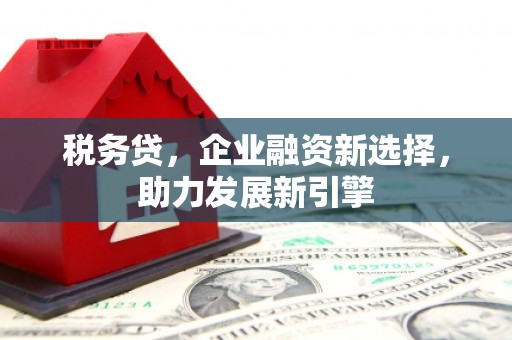 华宁税务贷，企业融资新选择，助力发展新引擎