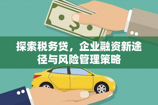 华宁探索税务贷，企业融资新途径与风险管理策略