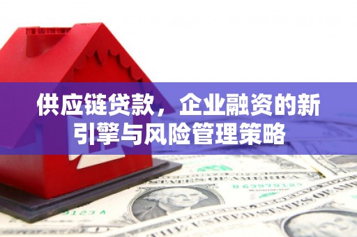 华宁供应链贷款，企业融资的新引擎与风险管理策略