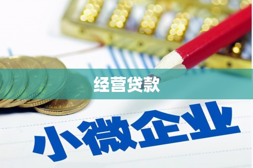 华宁经营贷款