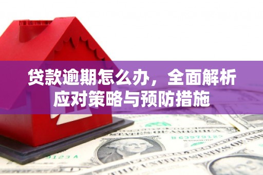 华宁贷款逾期怎么办，全面解析应对策略与预防措施