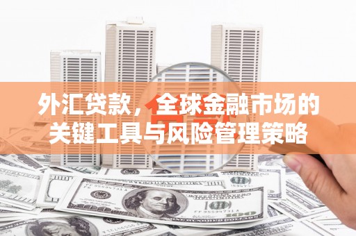 华宁外汇贷款，全球金融市场的关键工具与风险管理策略