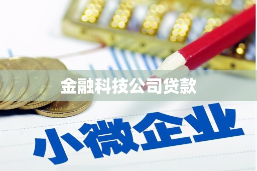 华宁金融科技公司贷款