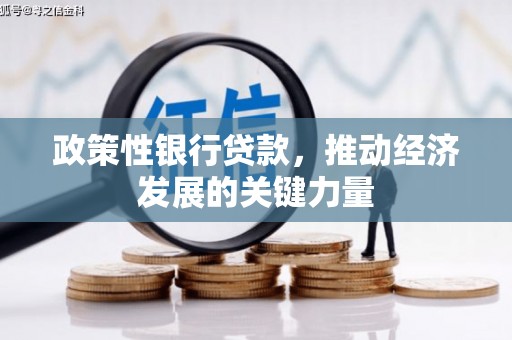 华宁政策性银行贷款，推动经济发展的关键力量