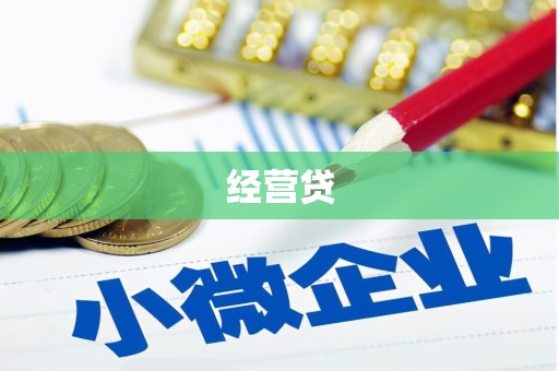 华宁经营贷