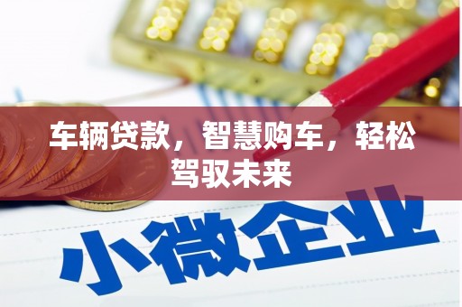 华宁车辆贷款，智慧购车，轻松驾驭未来