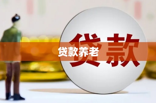 华宁贷款养老