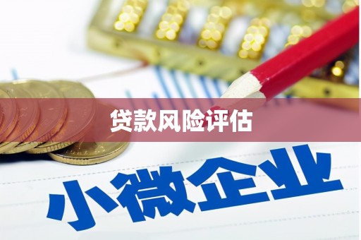 华宁贷款风险评估