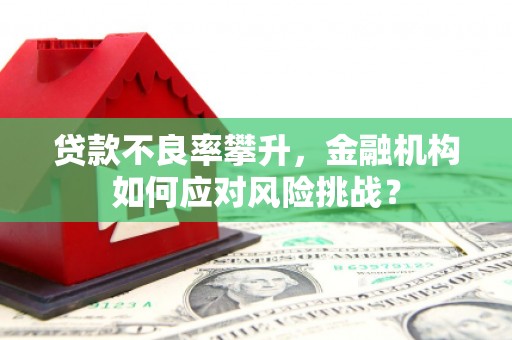 华宁贷款不良率攀升，金融机构如何应对风险挑战？