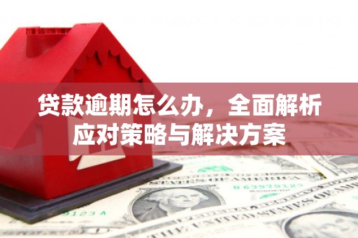 华宁贷款逾期怎么办，全面解析应对策略与解决方案