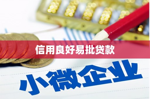 华宁信用良好易批贷款