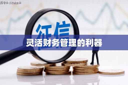 华宁灵活财务管理的利器