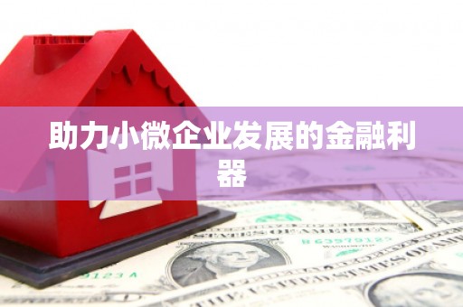 华宁助力小微企业发展的金融利器