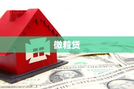 华宁微粒贷