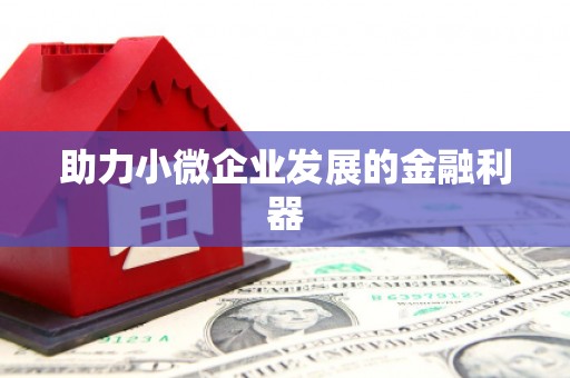 华宁助力小微企业发展的金融利器