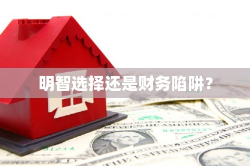 华宁明智选择还是财务陷阱？