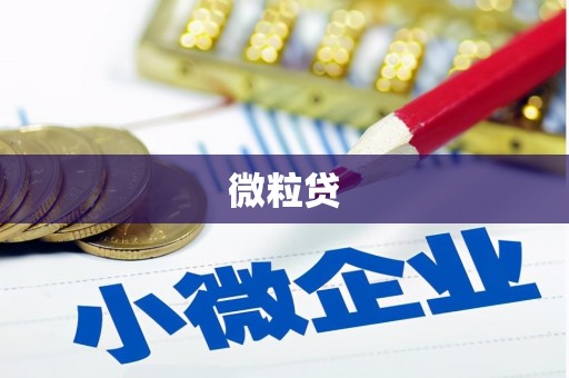 华宁微粒贷