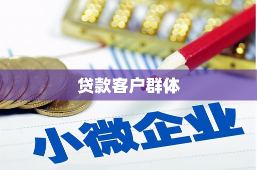 华宁贷款客户群体