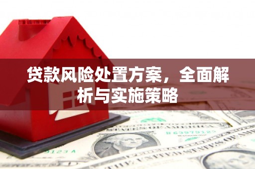 华宁贷款风险处置方案，全面解析与实施策略